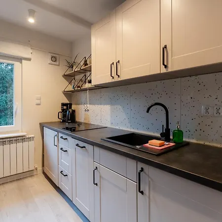 Апартаменты Sudety Loft *